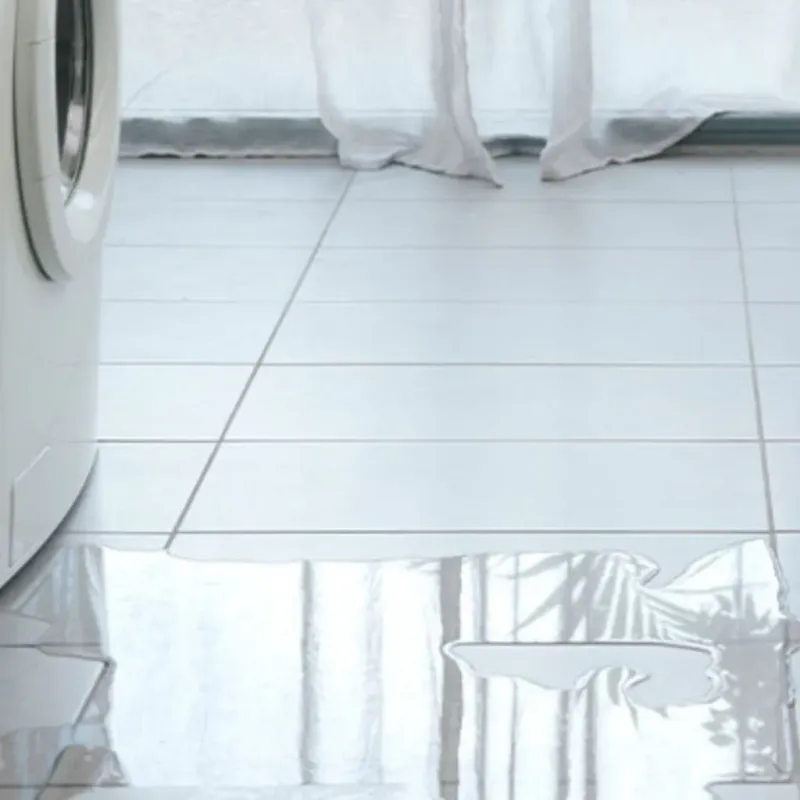 Appliance Leak Cleanup in Pittsfield, WI
