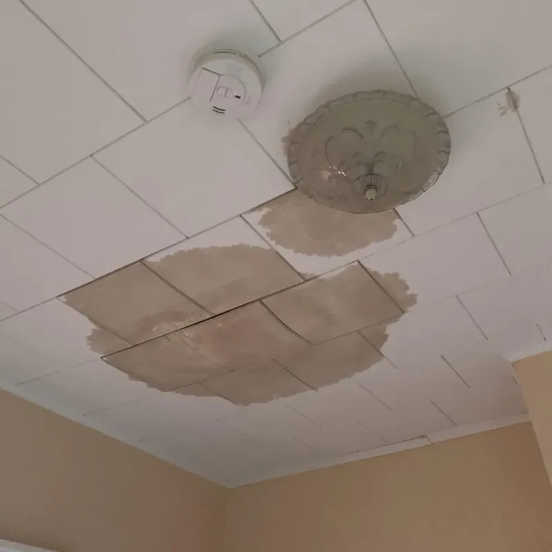 Ceiling Water Damage Repair in Pittsfield, WI