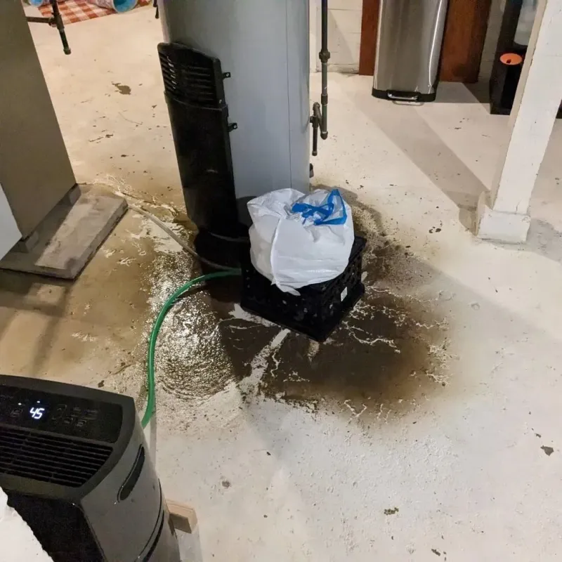 Sewage Backup Cleanup Service in Pittsfield, WI